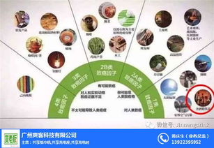 加馬飲料 市場反應與技術開發(fā)的雙重考量